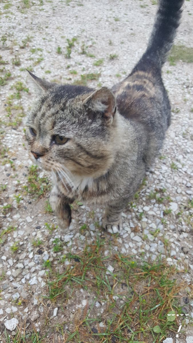 teodor teodor